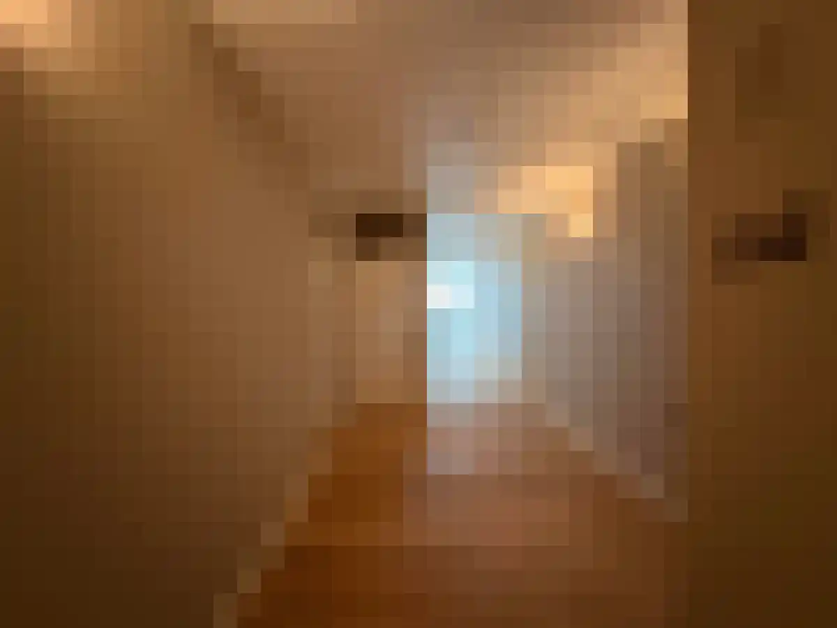 Seinpostduin 176 Den Haag thumbnail 5