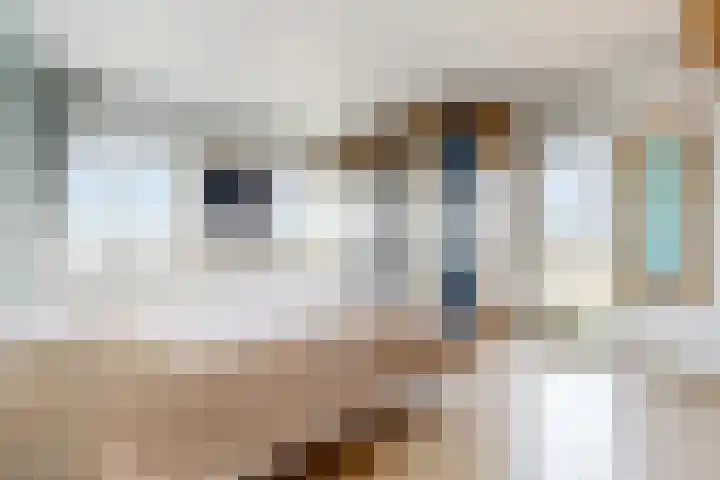 Seinpostduin 178 Den Haag thumbnail 16