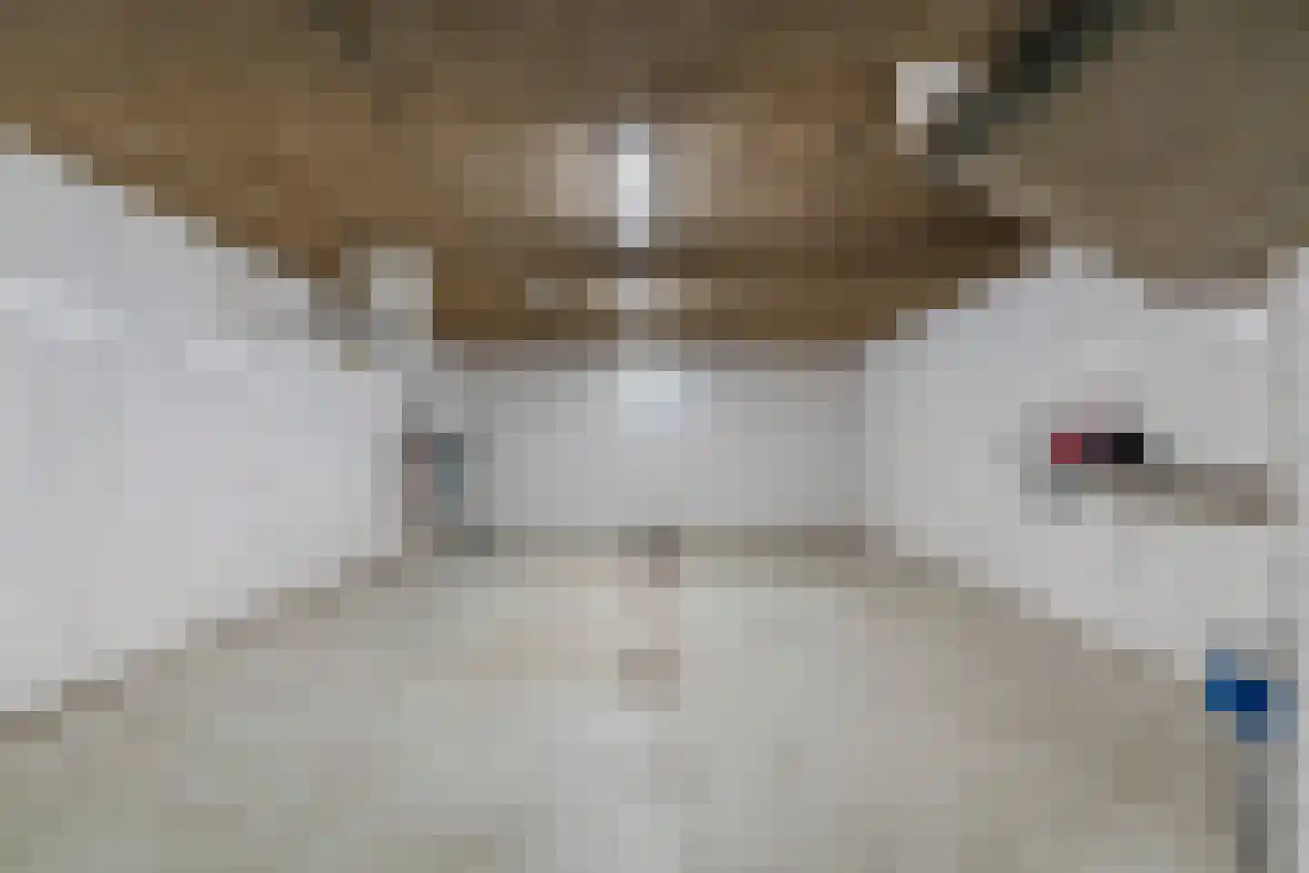Seinpostduin 178 Den Haag thumbnail 33
