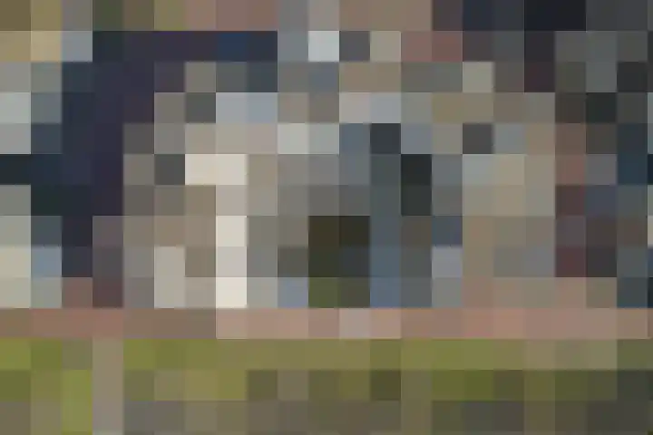 Seinpostduin 178 Den Haag thumbnail 37
