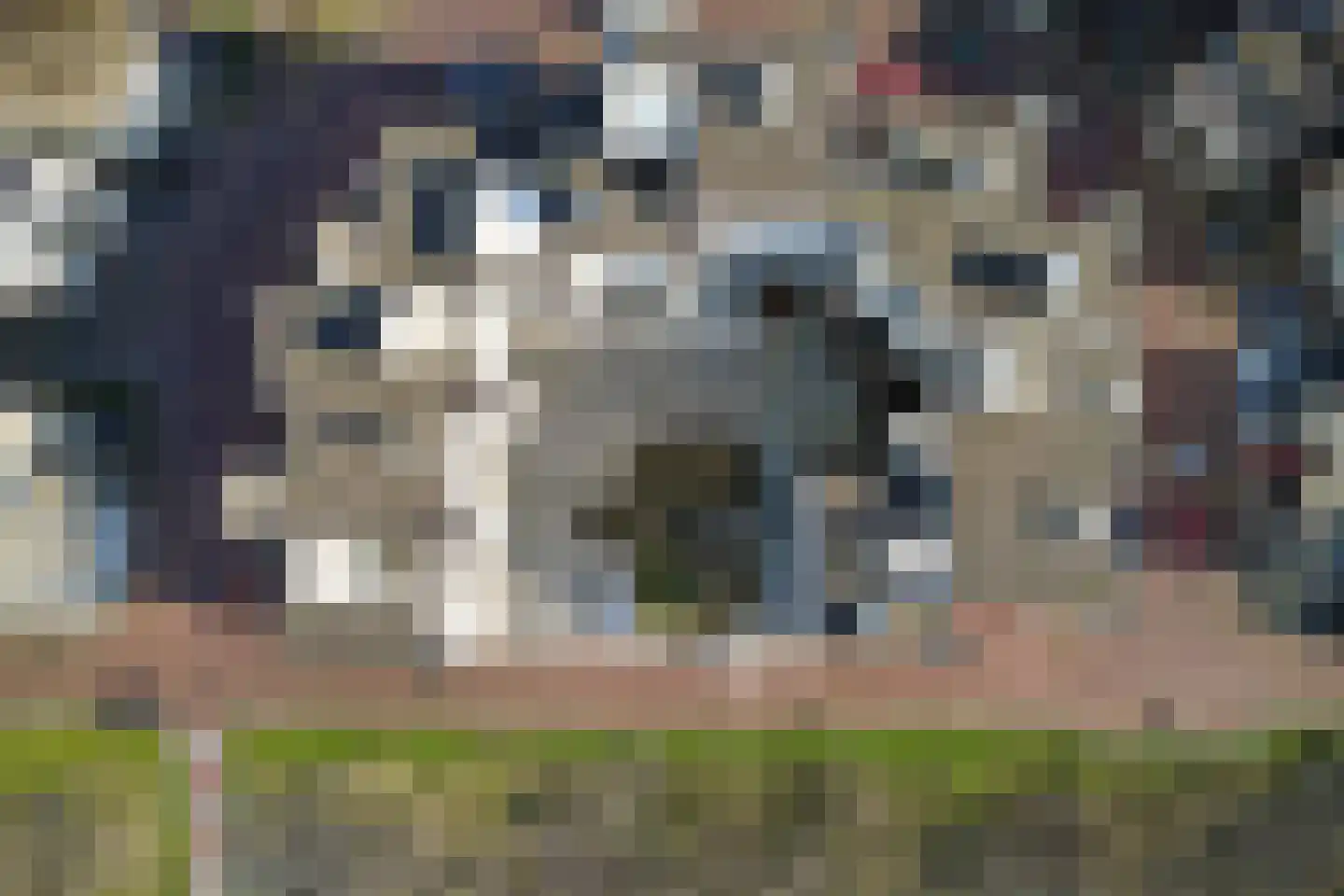 Seinpostduin 178 Den Haag thumbnail 38