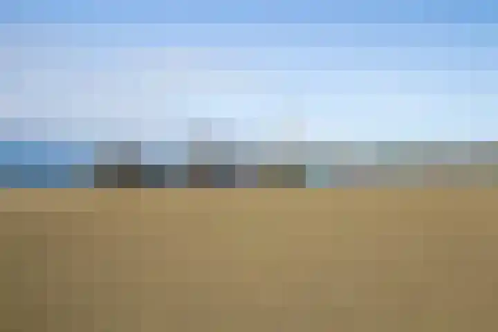 Seinpostduin 178 Den Haag thumbnail 40