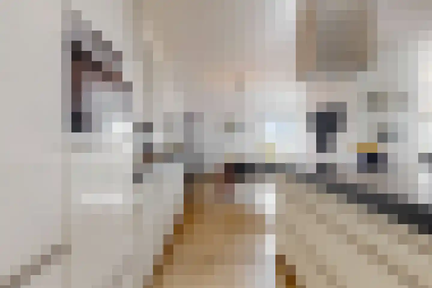 Seinpostduin 178 Den Haag thumbnail 7