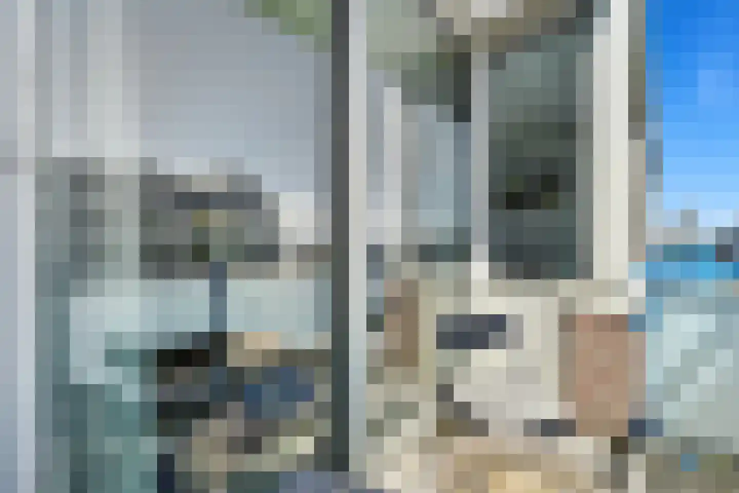Seinpostduin 501 Den Haag thumbnail 17