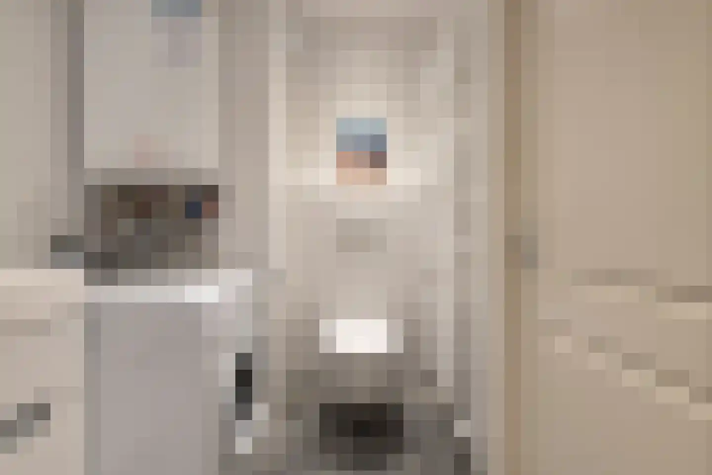 Seinpostduin 503 Den Haag thumbnail 15