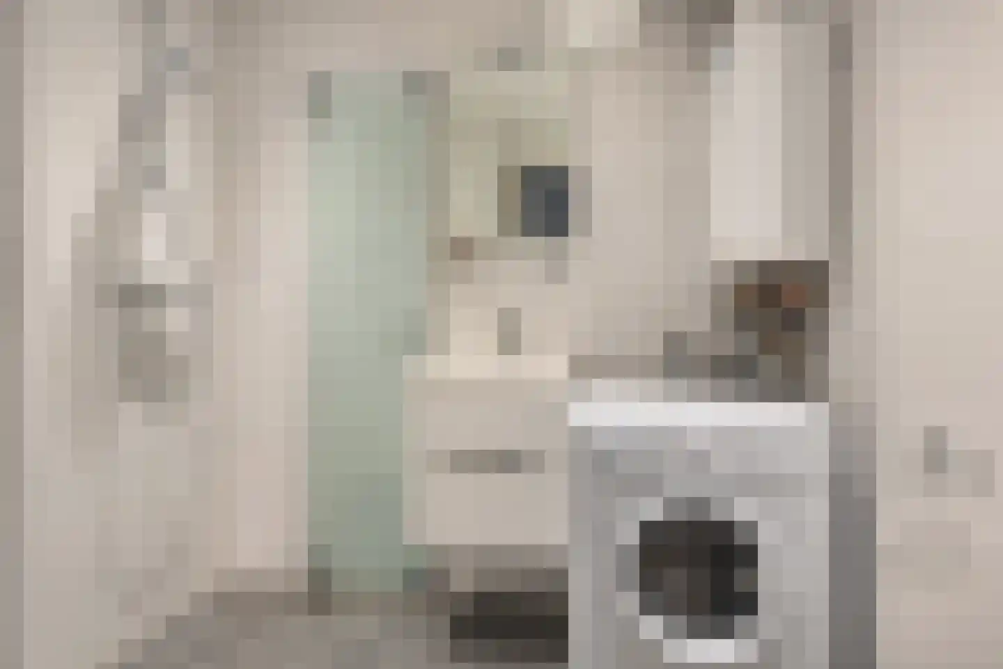 Seinpostduin 503 Den Haag thumbnail 16