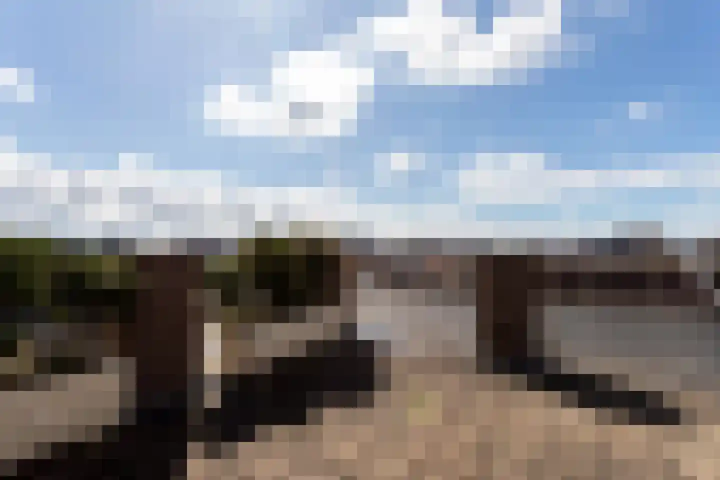 Seinpostduin 503 Den Haag thumbnail 20