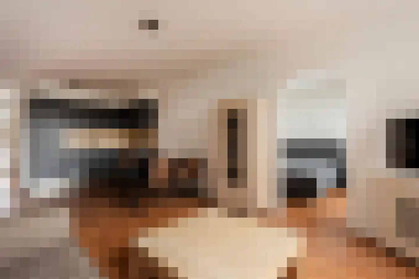 Seinpostduin 525 Den Haag thumbnail 13