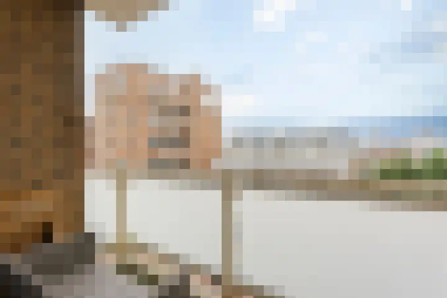 Seinpostduin 525 Den Haag thumbnail 4