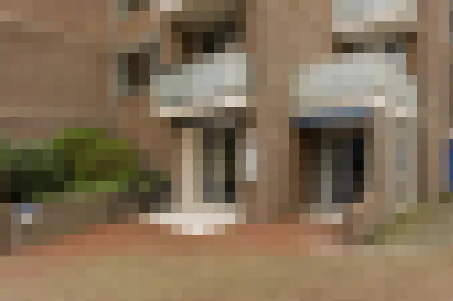 Seinpostduin 525 Den Haag thumbnail 5