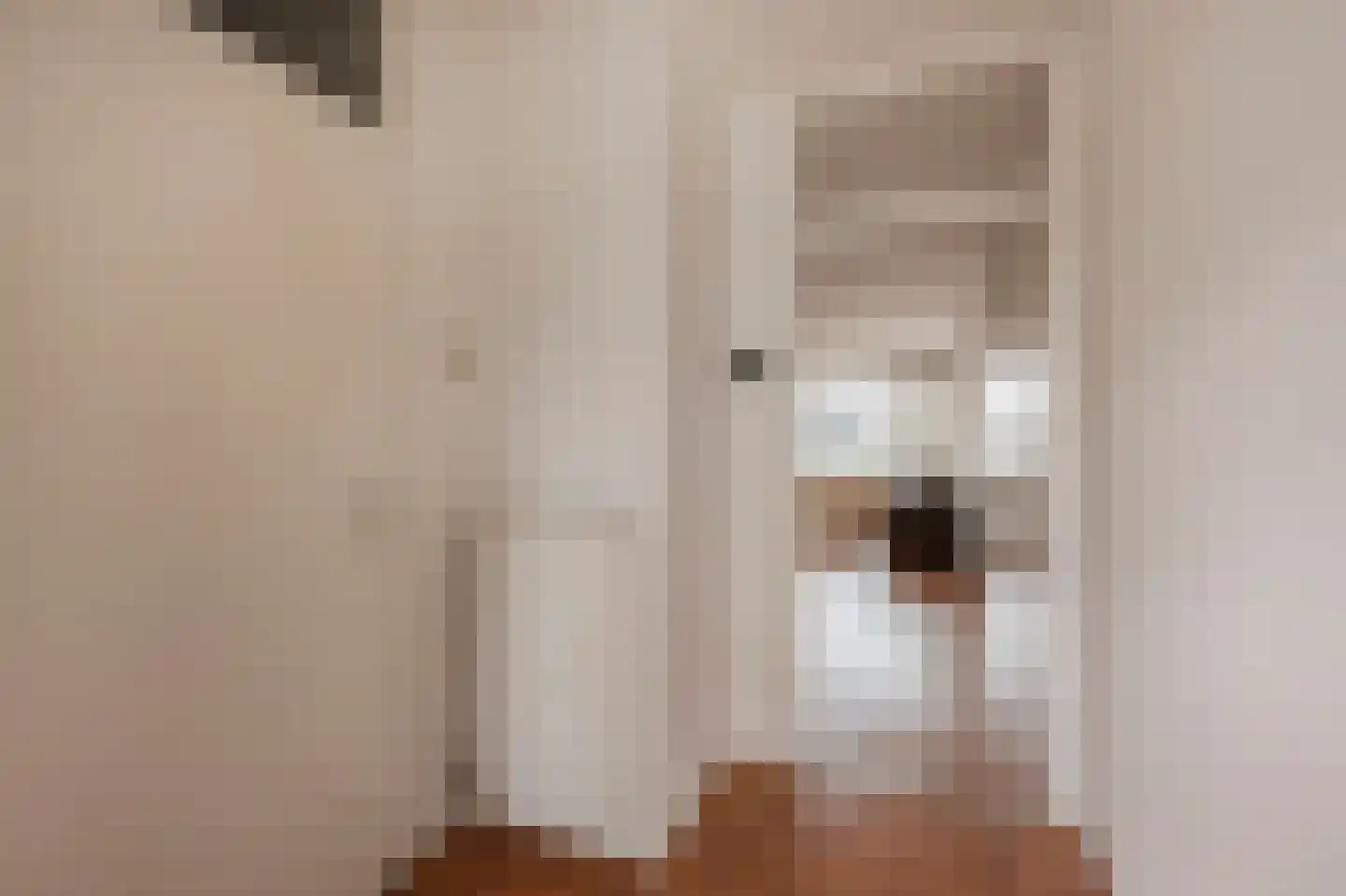 Seinpostduin 525 Den Haag thumbnail 9