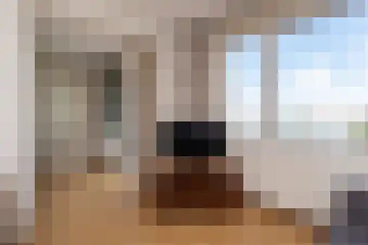Seinpostduin 531 Den Haag thumbnail 14