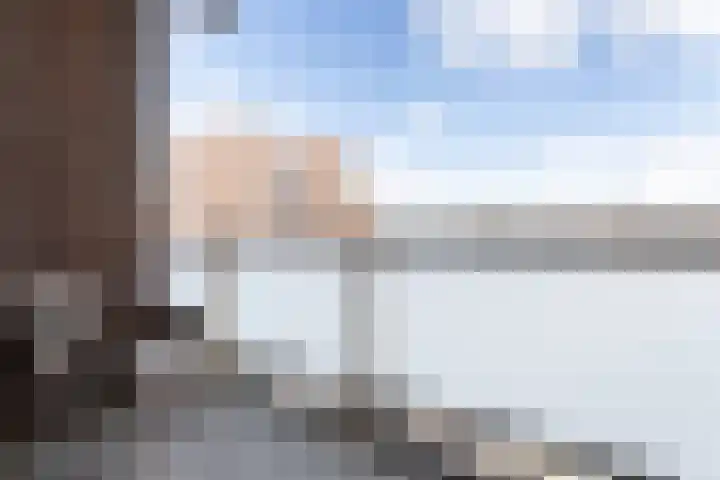Seinpostduin 531 Den Haag thumbnail 16