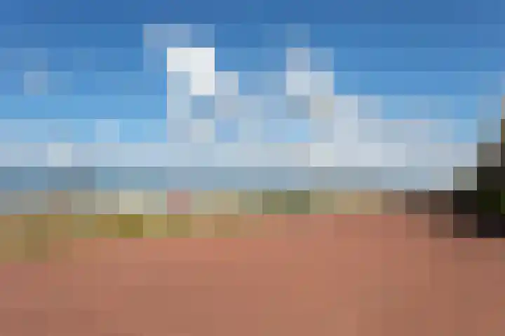 Seinpostduin 531 Den Haag thumbnail 25