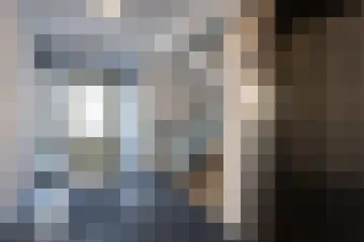 Seinpostduin 531 Den Haag thumbnail 5