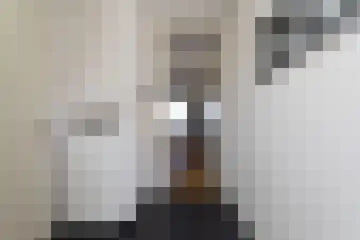 Seinpostduin 531 Den Haag thumbnail 6