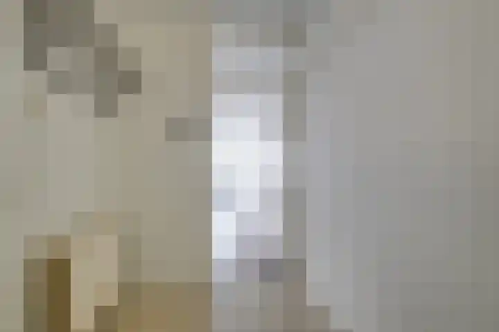 Seinpostduin 535 Den Haag thumbnail 12