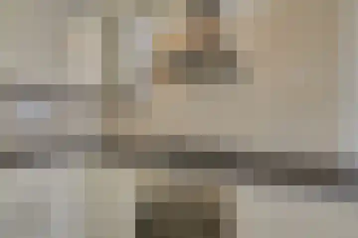 Seinpostduin 535 Den Haag thumbnail 15