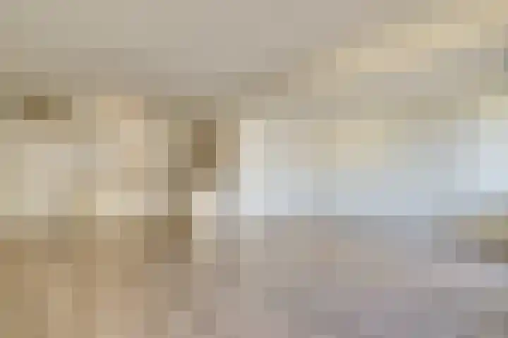 Seinpostduin 535 Den Haag thumbnail 18