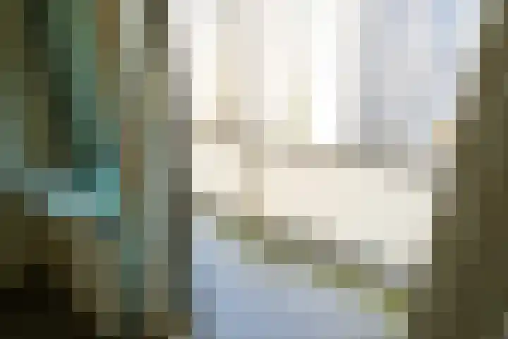 Seinpostduin 535 Den Haag thumbnail 22