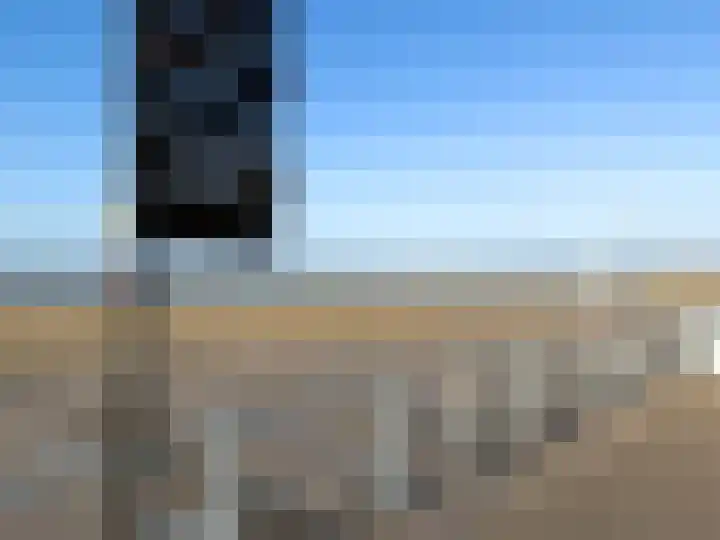 Seinpostduin 535 Den Haag thumbnail 32