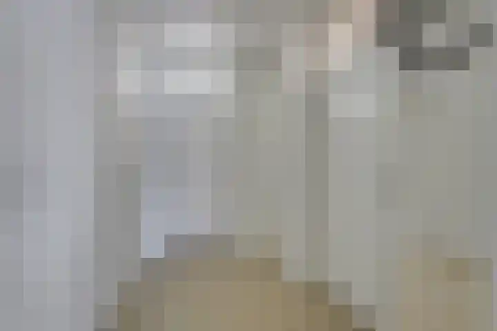 Seinpostduin 535 Den Haag thumbnail 8