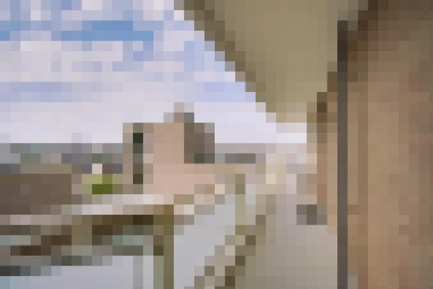 Seinpostduin 539 Den Haag thumbnail 10