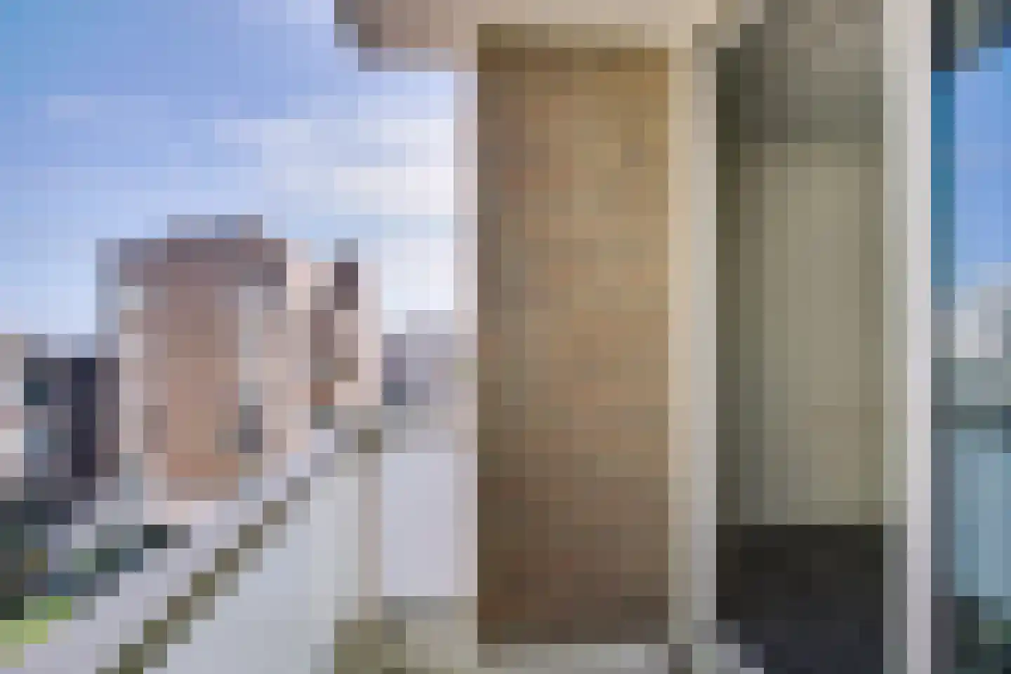 Seinpostduin 539 Den Haag thumbnail 16