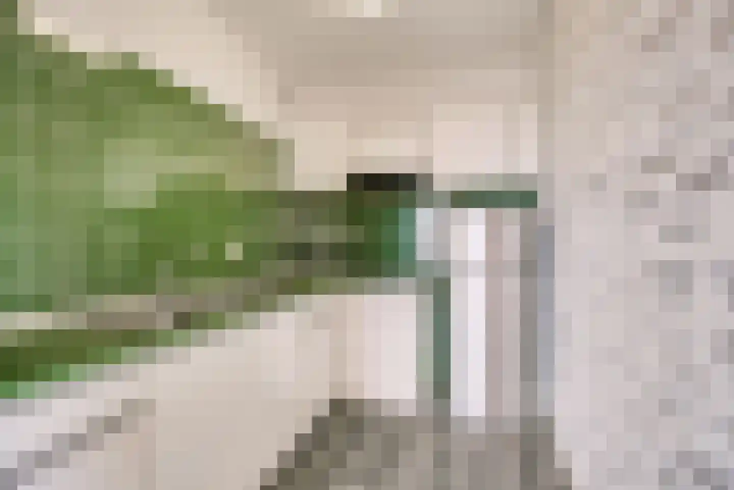 Seinpostduin 539 Den Haag thumbnail 5