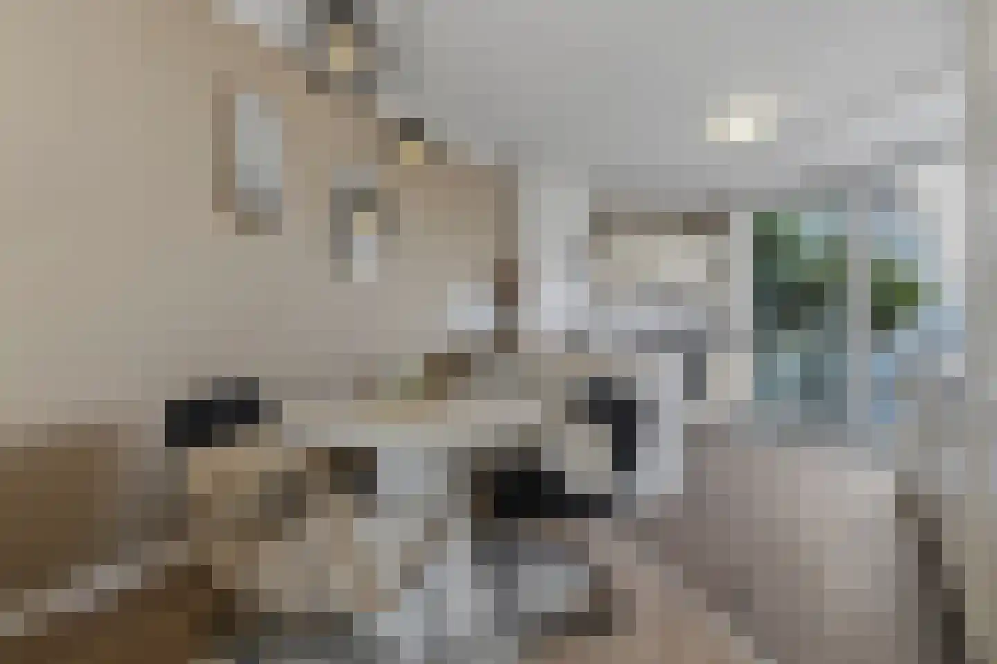 Seinpoststraat 28 Den Haag thumbnail 4