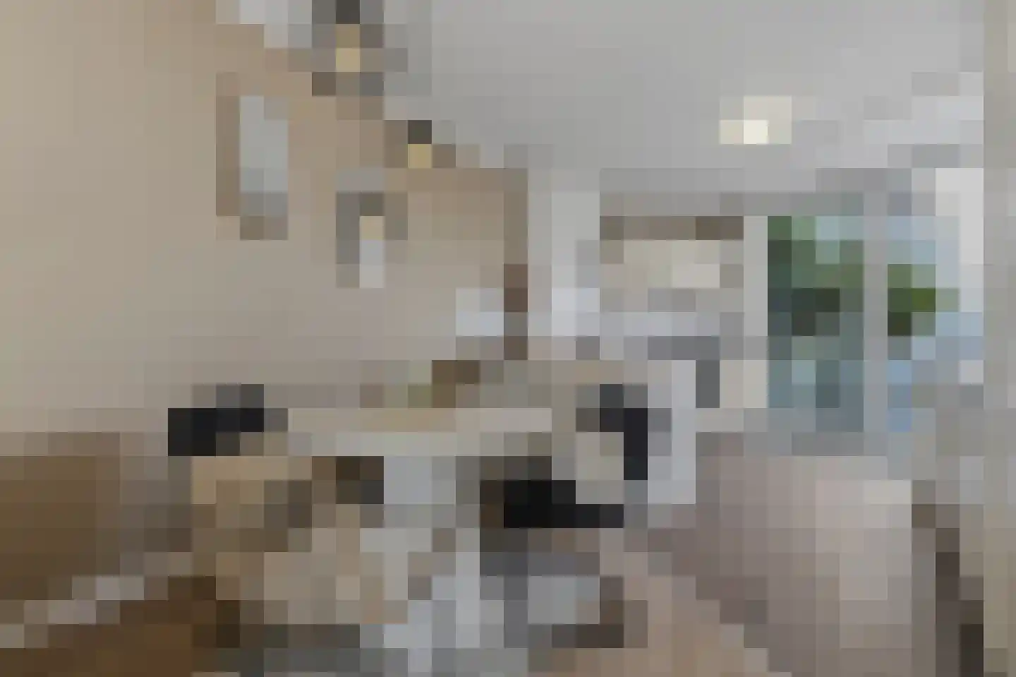 Seinpoststraat 28 Den Haag thumbnail 5