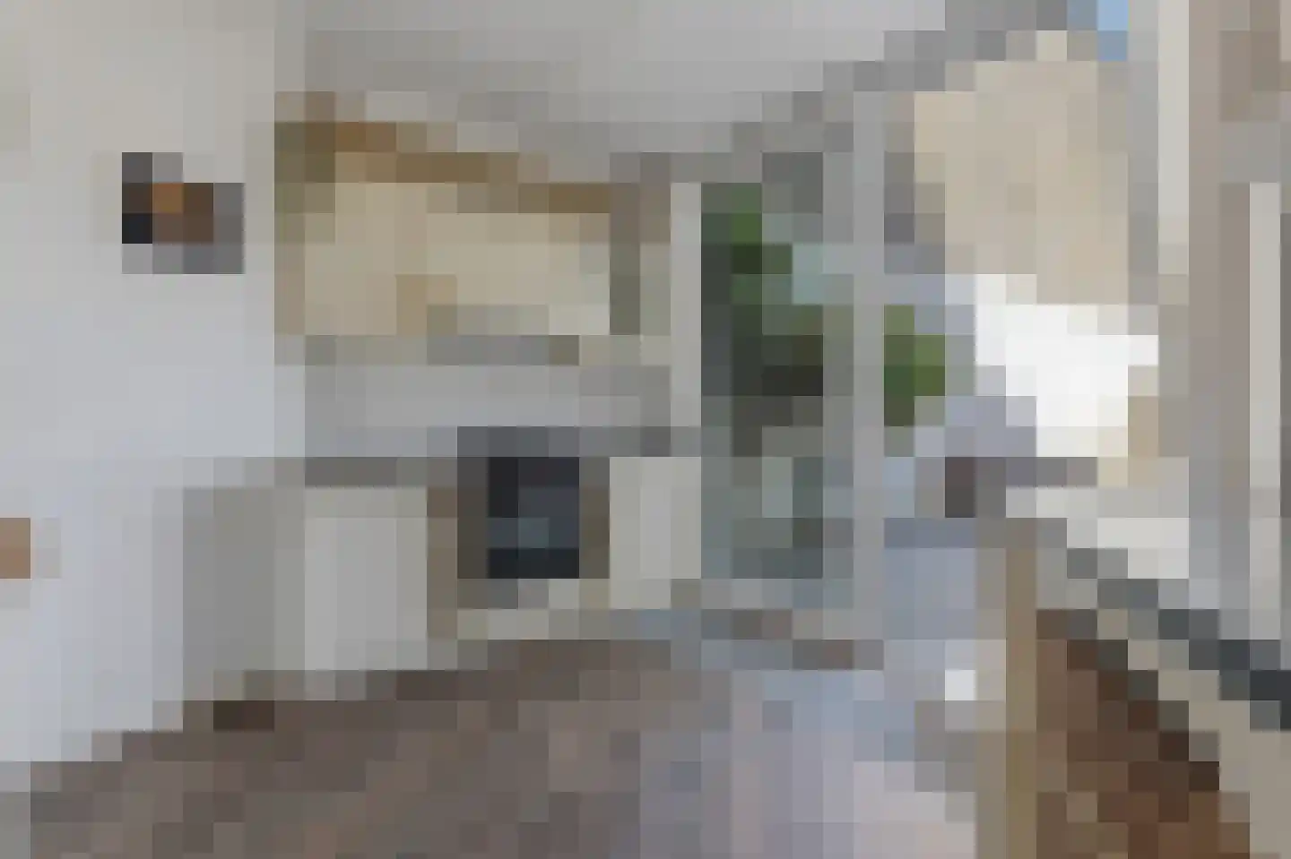 Seinpoststraat 28 Den Haag thumbnail 9