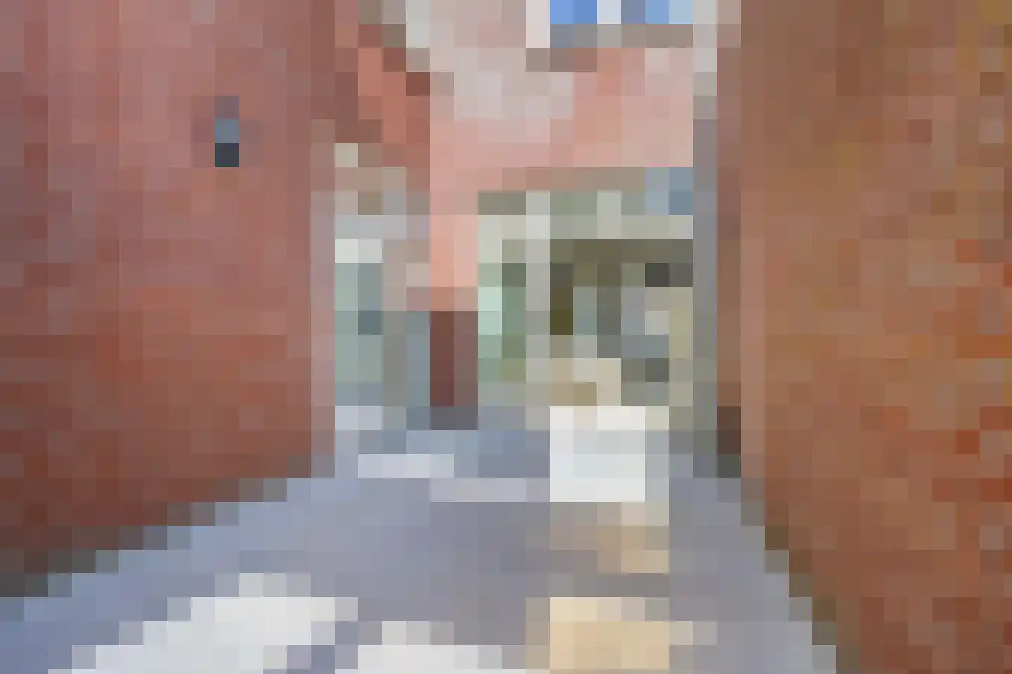 Seinpoststraat 51 A Den Haag thumbnail 25