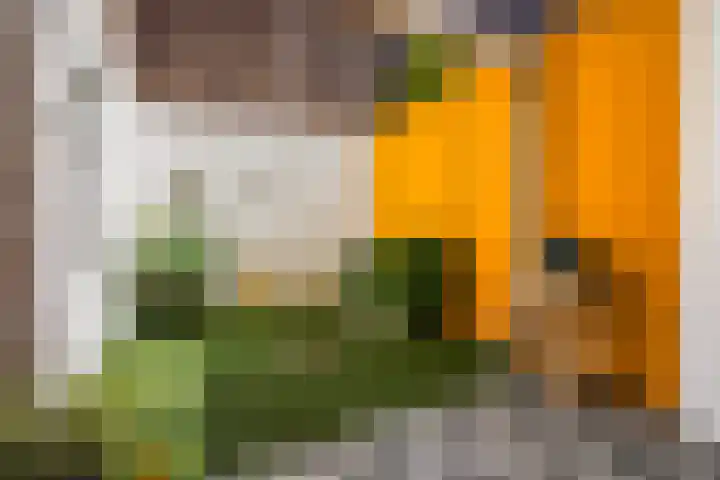 Seinpoststraat 7 Den Haag thumbnail 19