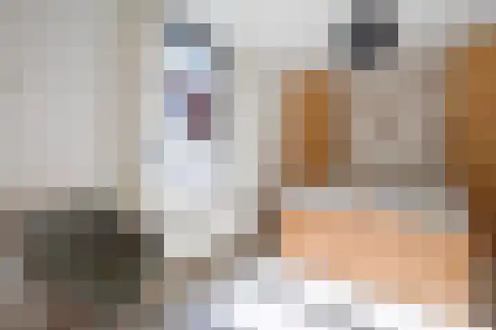 Seinpoststraat 7 Den Haag thumbnail 36