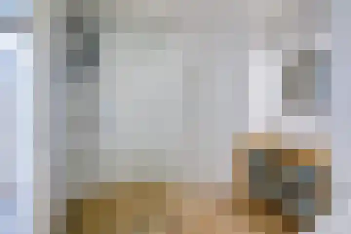 Seinpoststraat 7 Den Haag thumbnail 4