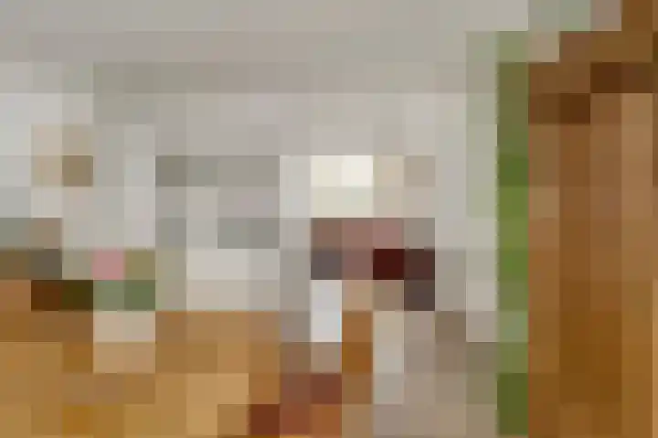 Seinpoststraat 7 Katwijk thumbnail 17