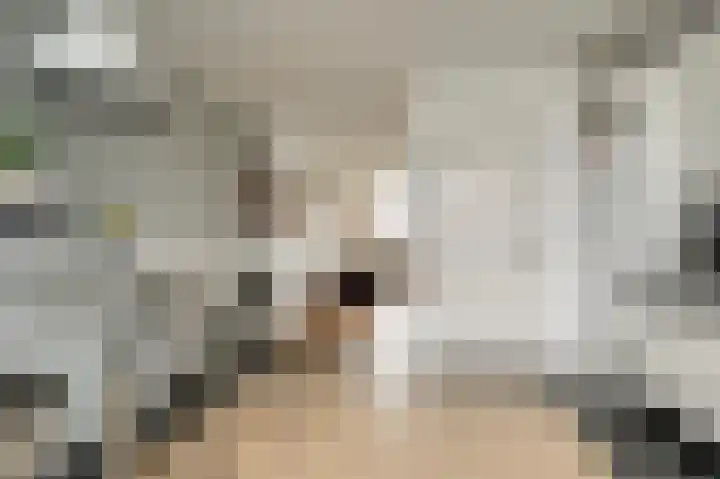 Seinpoststraat 7 Katwijk thumbnail 31