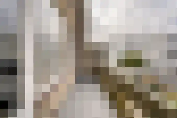 Seinpoststraat 7 Katwijk thumbnail 34