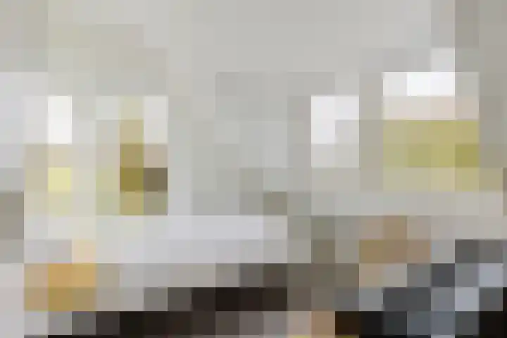 Seinsdijk 6 Aalten thumbnail 18
