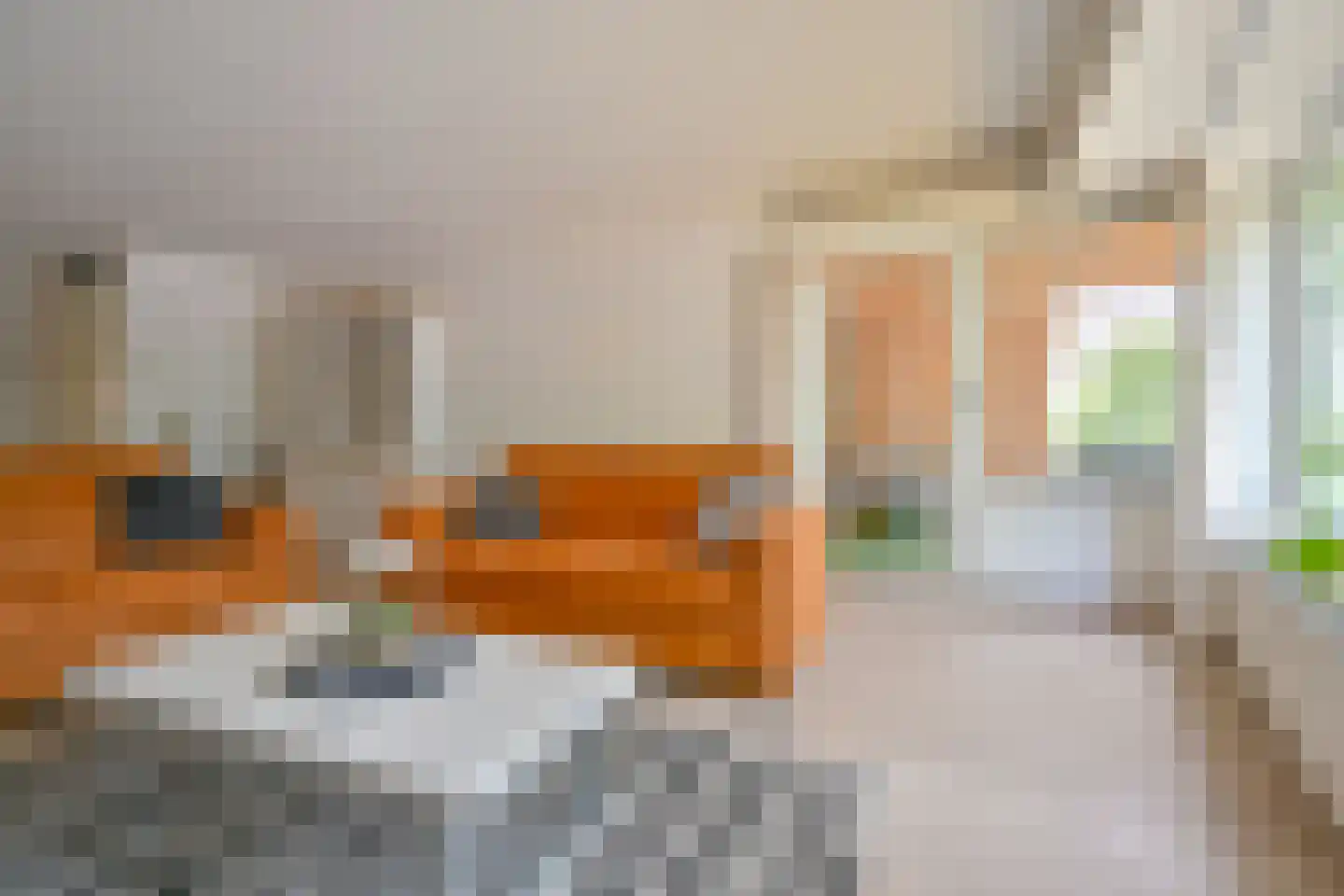Seinstraat 46 Emmen thumbnail 31