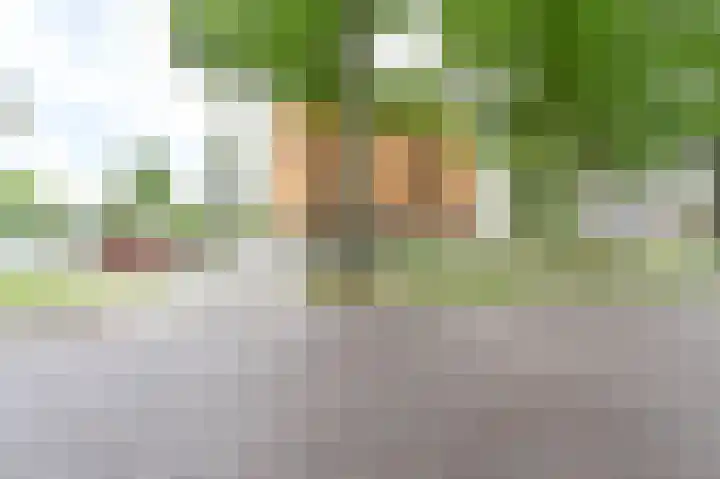 Seinstraat 56 Emmen thumbnail 61