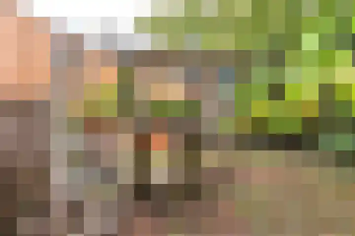Seinstraat 70 Hilversum thumbnail 21