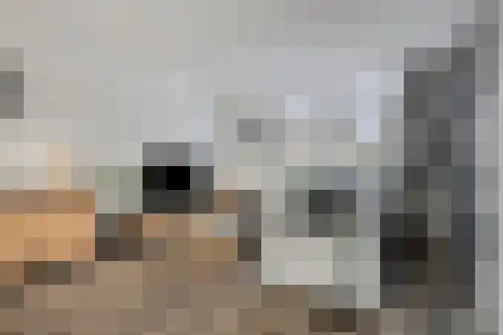Seintoren 16 Middelburg thumbnail 11