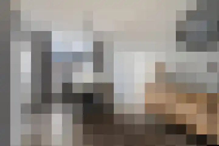 Seintoren 16 Middelburg thumbnail 13