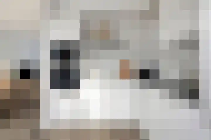 Seintoren 16 Middelburg thumbnail 16
