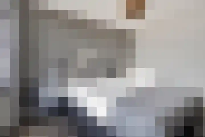 Seintoren 16 Middelburg thumbnail 22