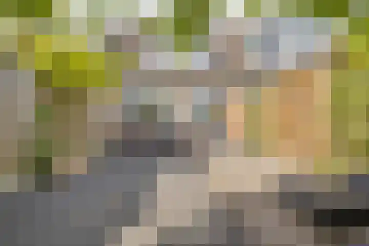 Seintoren 17 Middelburg thumbnail 24