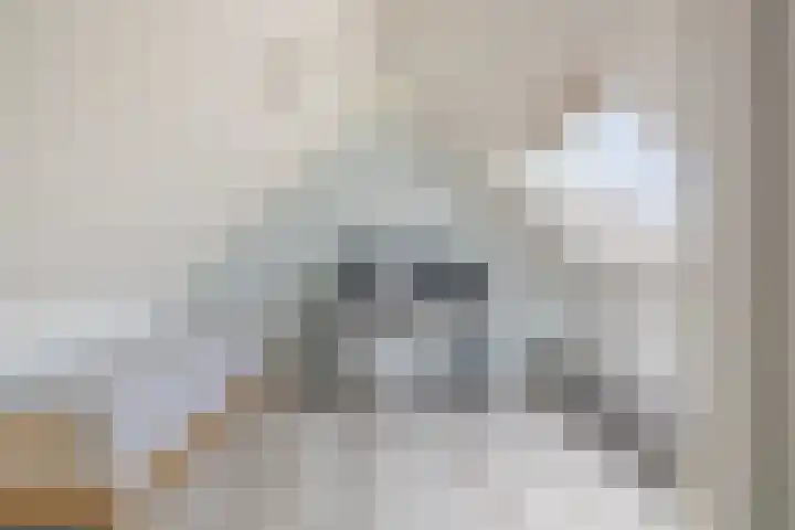 Seintoren 17 Middelburg thumbnail 40