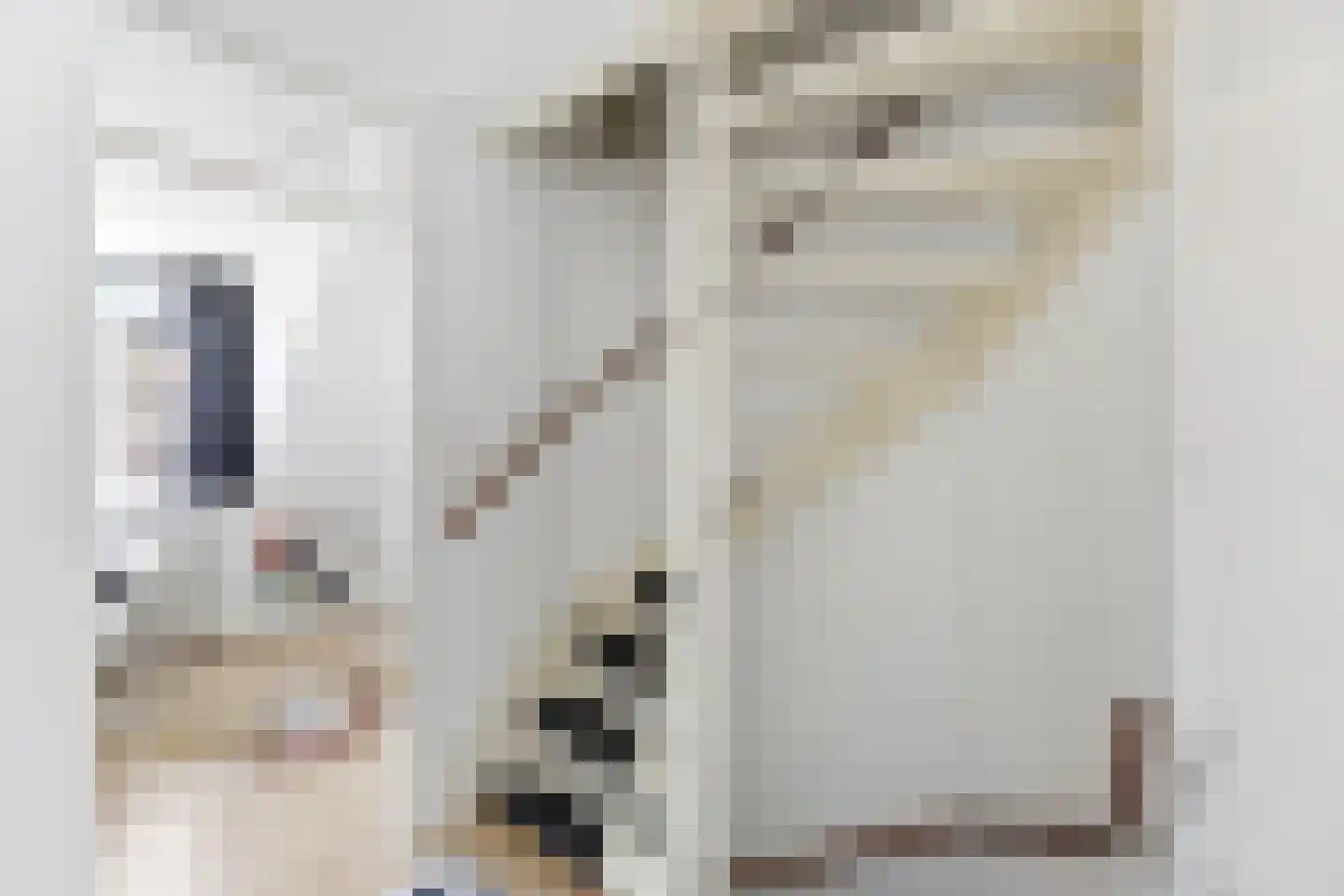 Seintoren 20 Middelburg thumbnail 18